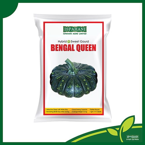 মিষ্টি কুমড়া (বেঙ্গল কুইন) — ১ গ্রাম, ৮-৯টি বীজ