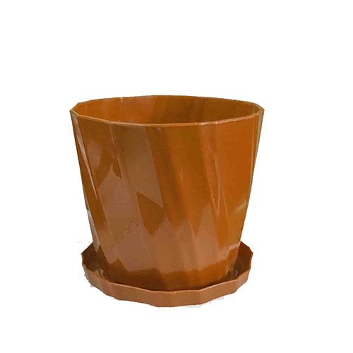 ৬ ইঞ্চি ক্যামেলিয়া ট্রেসহ (কালার)