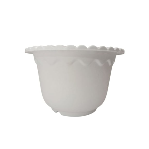 ১০ ইঞ্চি আইভি (সাদা)