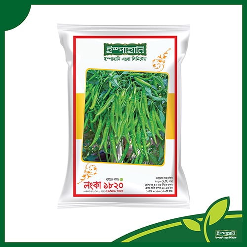মরিচ (লংকা 1820) — ০.২৫ গ্রাম, ৪০-৪৫টি বীজ