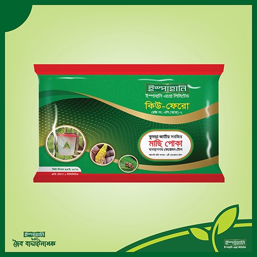 কিউ ফেরো (১ প্যাকেট, ২ পিছ)