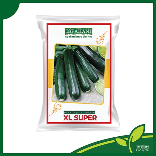 স্কোয়াশ (XL সুপার) — ০.৮ গ্রাম, ৪-৬টি বীজ